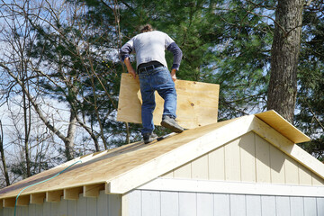 Old Shed Removal